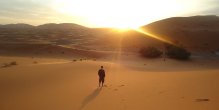 Lenten Reflection from Lou Anne Tighe