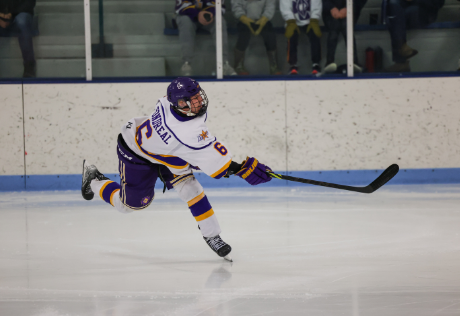 Boys Hockey Headed to State