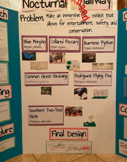 The Conservation Awards winners' trifold.