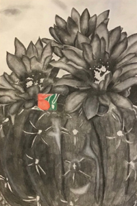 Schutz's favorite piece, a charcoal cactus.