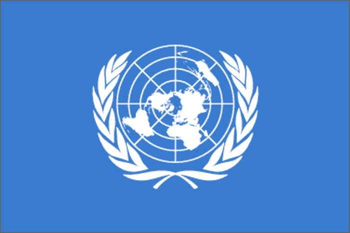 Interested CDH students can join the Model UN Club