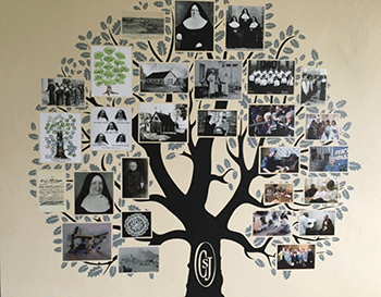 Tree section of CSJ display
